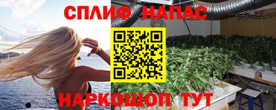 спиды Кинель