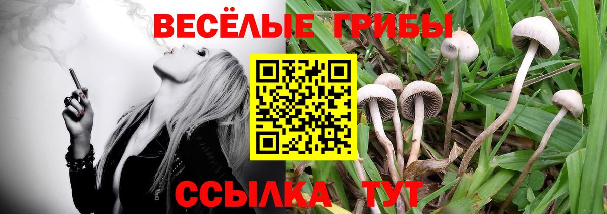 Псилоцибиновые грибы мухоморы  Вход с VPN  Котельники  Галлюциногенные грибы мицелий 