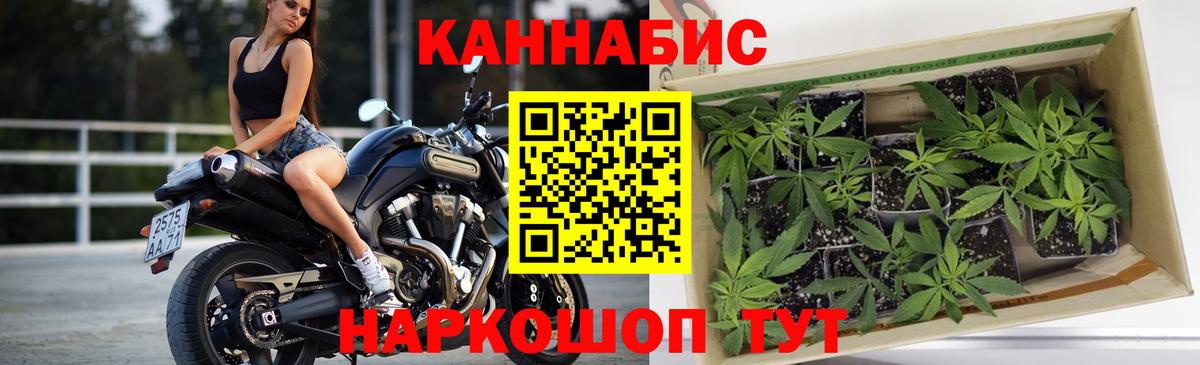 МАРИХУАНА SATIVA & INDICA  Бошки марихуана конопля  Вход с VPN  Котельники 